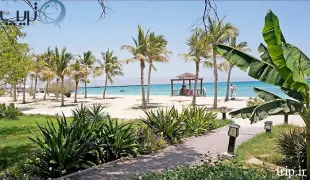 ساحل درختان نارگیل کجاست؟